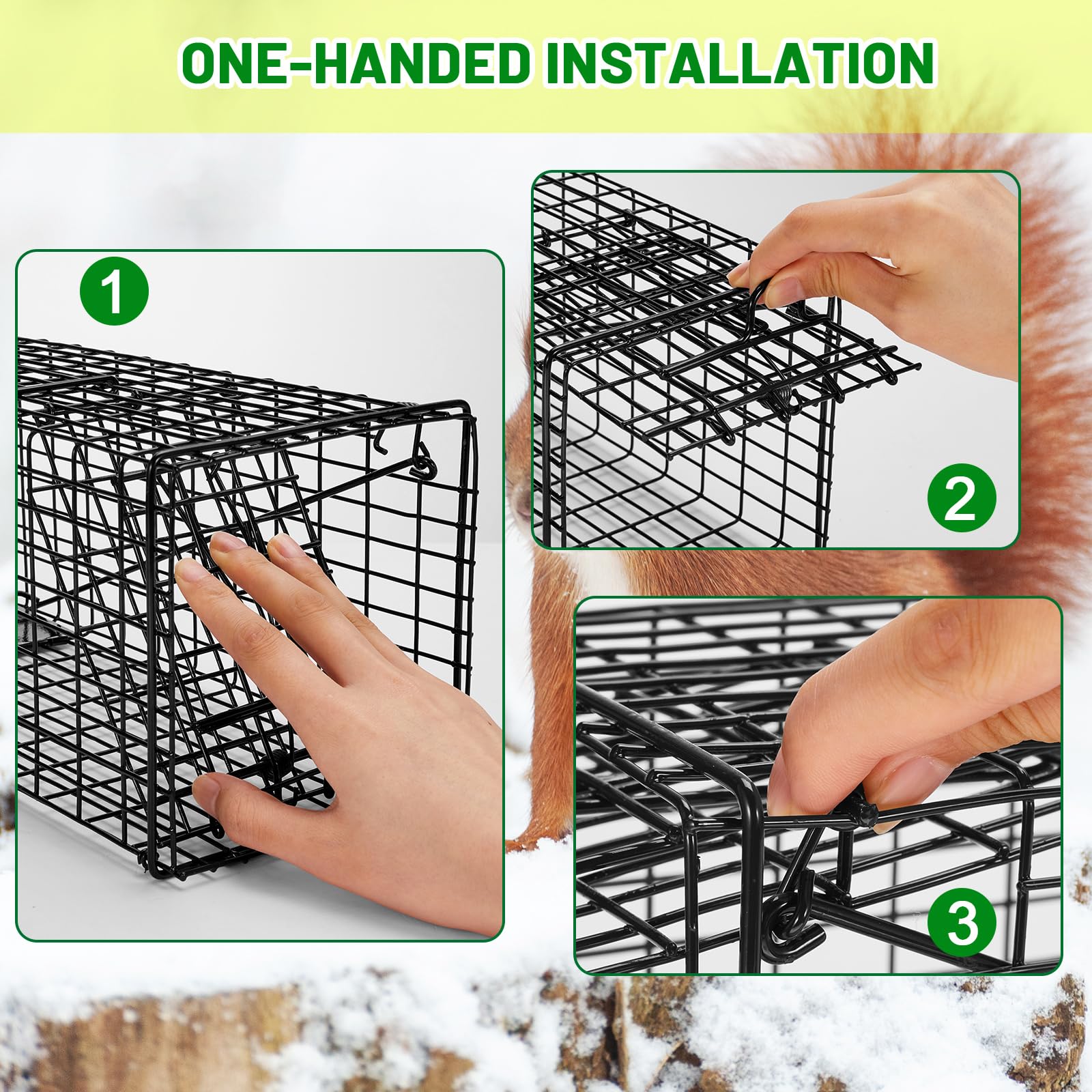 Qualirey trap placed in garden near plants showing discreet, effective pest control benefit