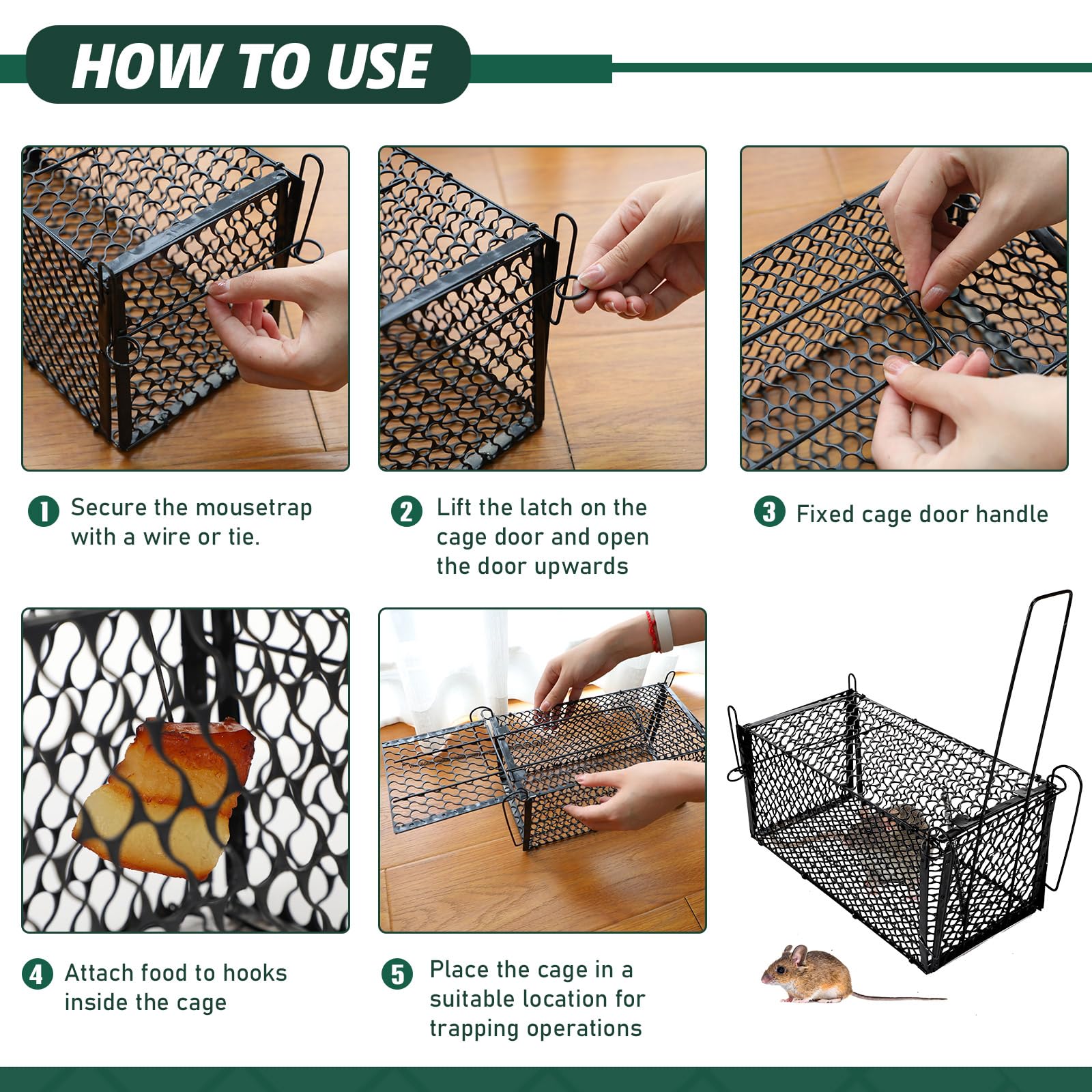 Qualirey trap in garden capturing rodent safely for humane relocation benefit