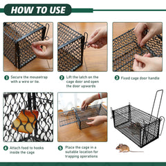 Qualirey trap in garden capturing rodent safely for humane relocation benefit