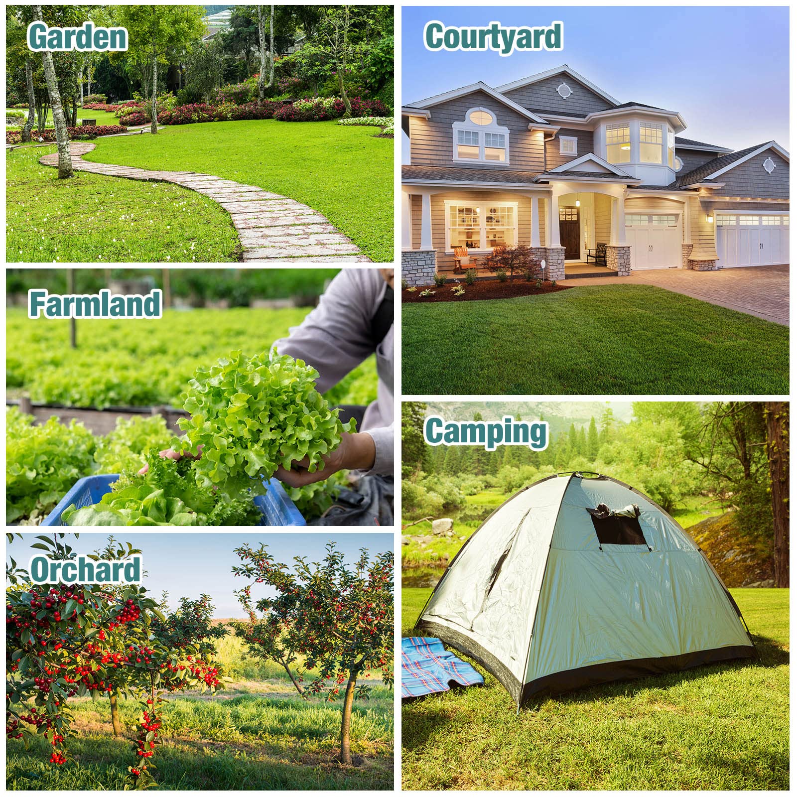 Qualirey multiple stakes across lawn showing wide-area deterrent benefit