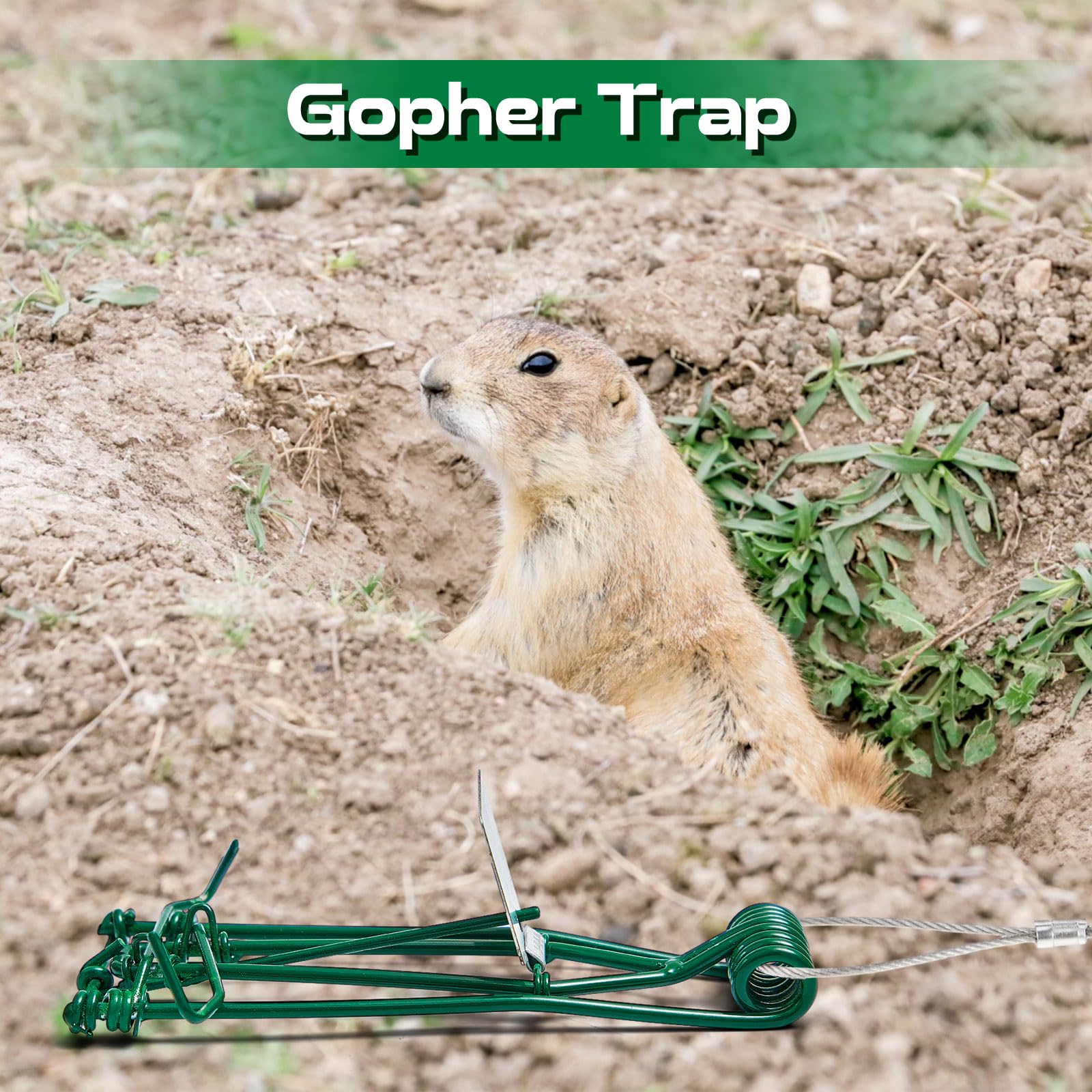Qualirey lifestyle garden installation with trap in turf, protects lawn effectively