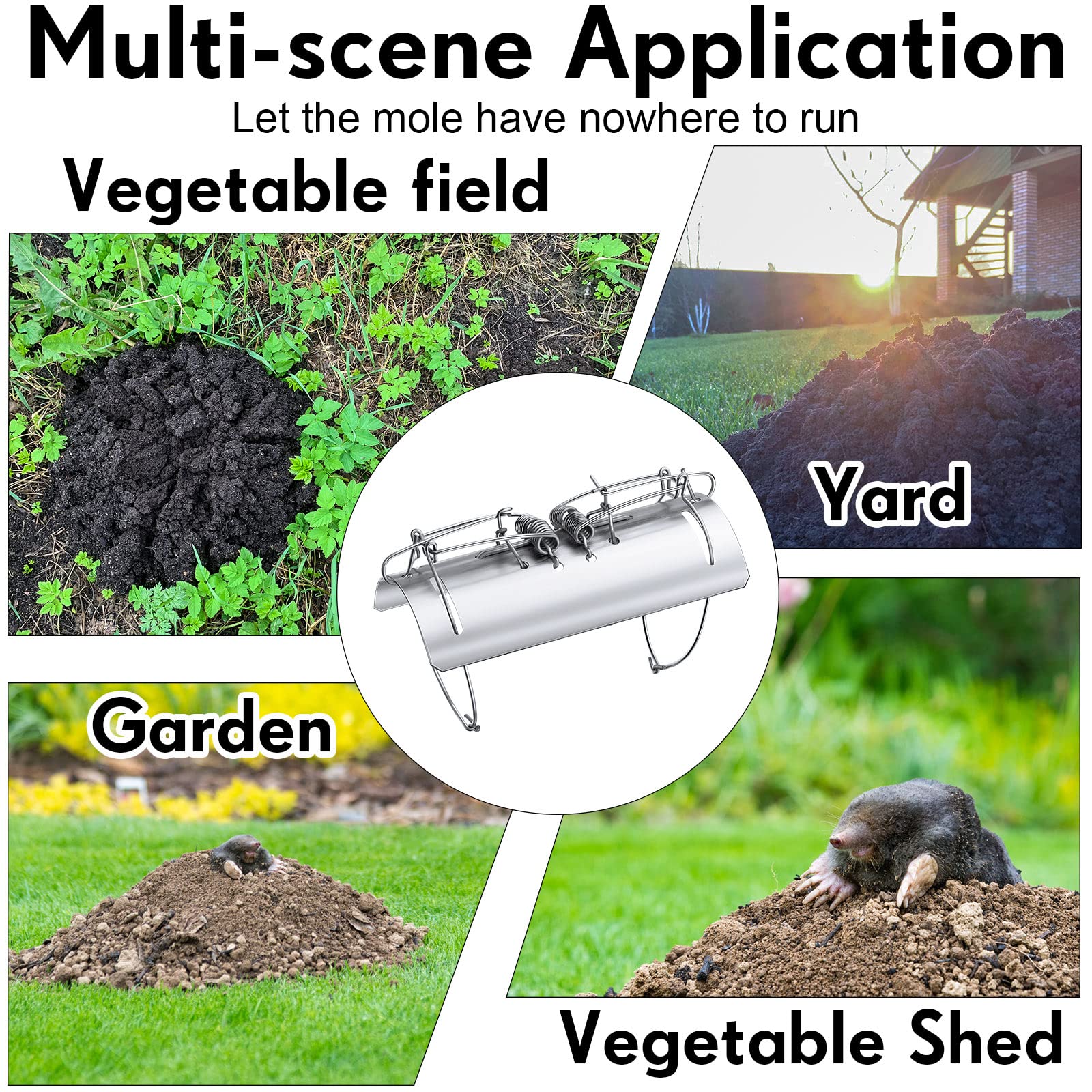 Qualirey trap in a garden setting protecting lawn and seedlings effectively