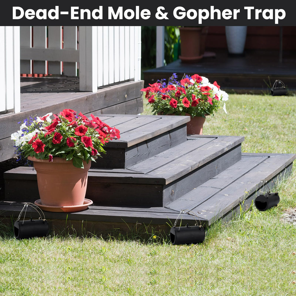 Qualirey traps placed in garden lawn demonstrating protection of plants