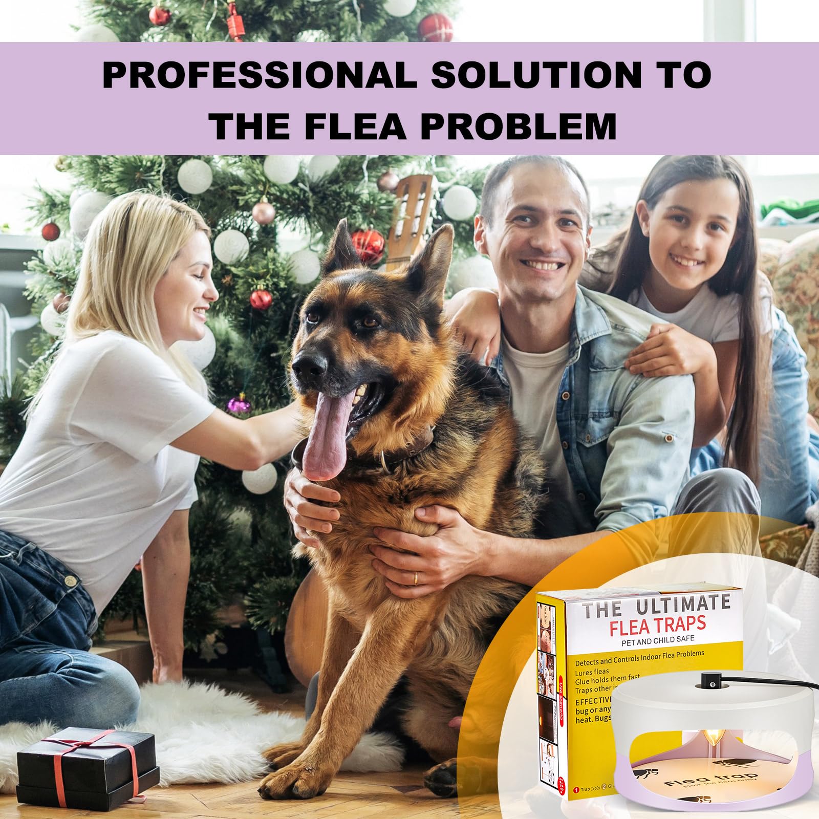 Qualirey placed near pet bed in bedroom showing safe pet-adjacent use