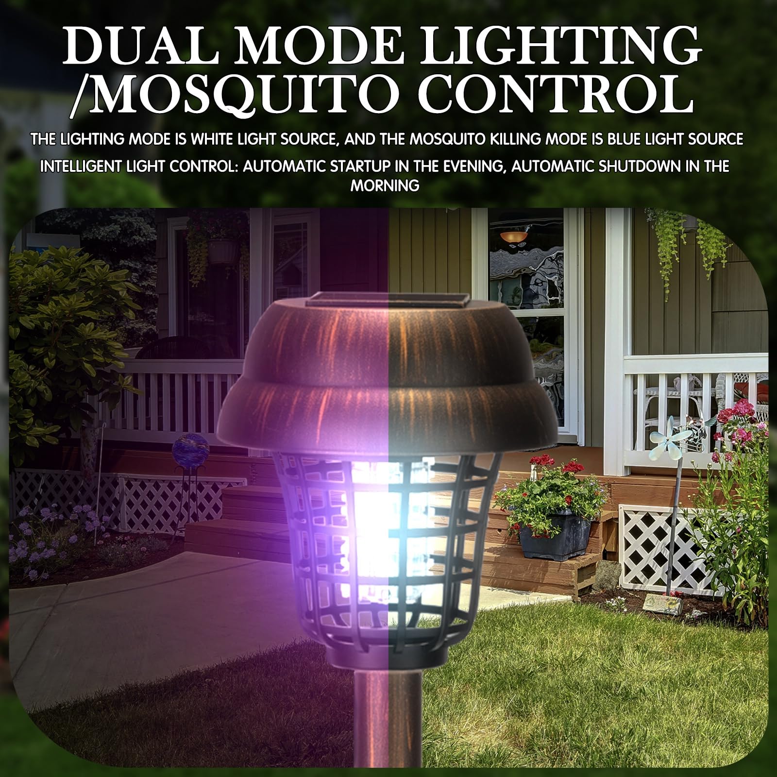 Qualirey switch detail showing dual light modes for flexible use