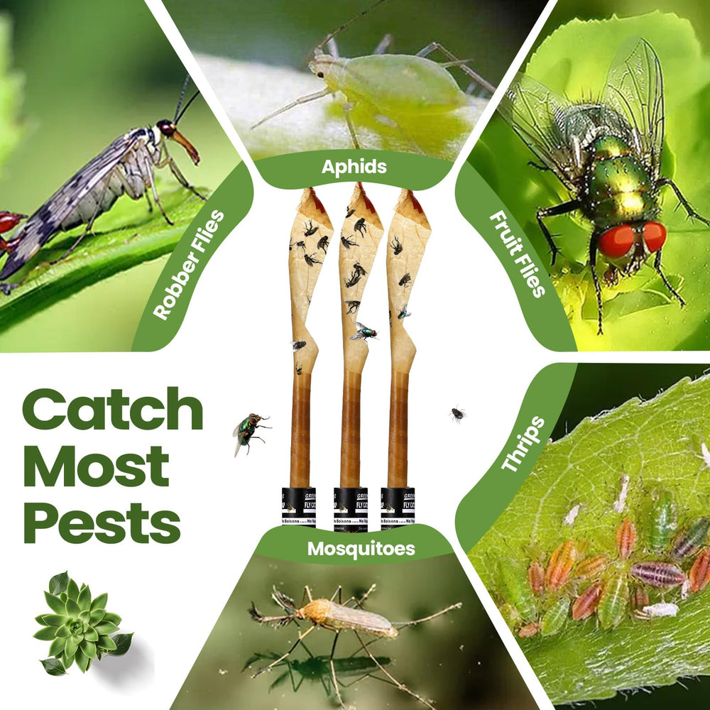 Qualirey strip in garden protecting plants from flying pests