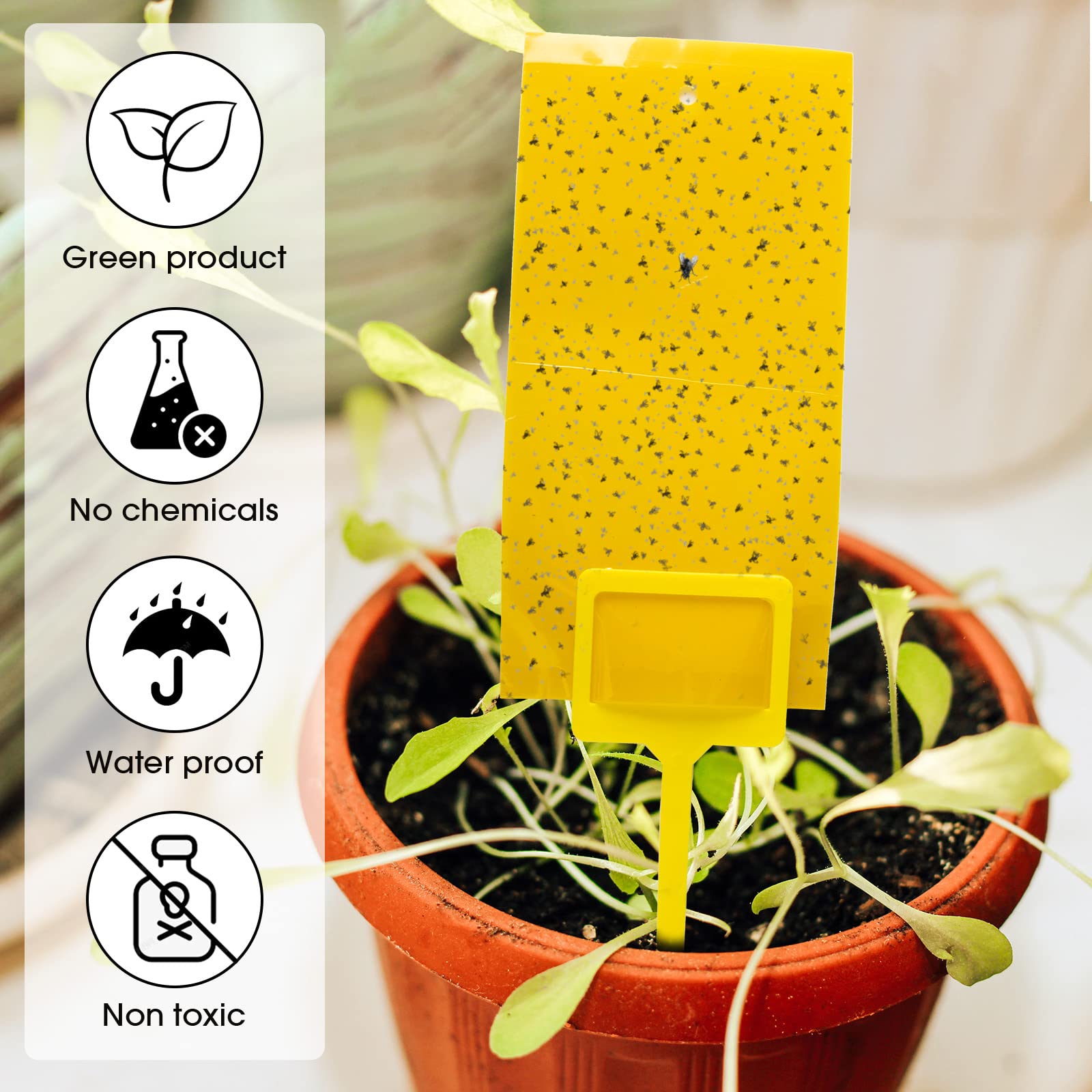 Qualirey plastic holder stuck in potting soil for stable placement