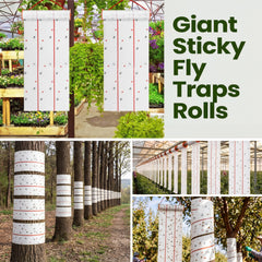 Qualirey roll unfurling to reveal long fluorescent sticky paper that increases insect catches