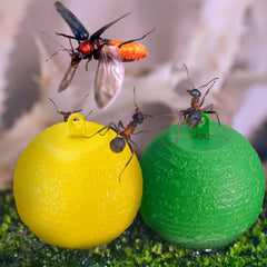 Qualirey scale comparison with hand illustrating compact size for easy hanging