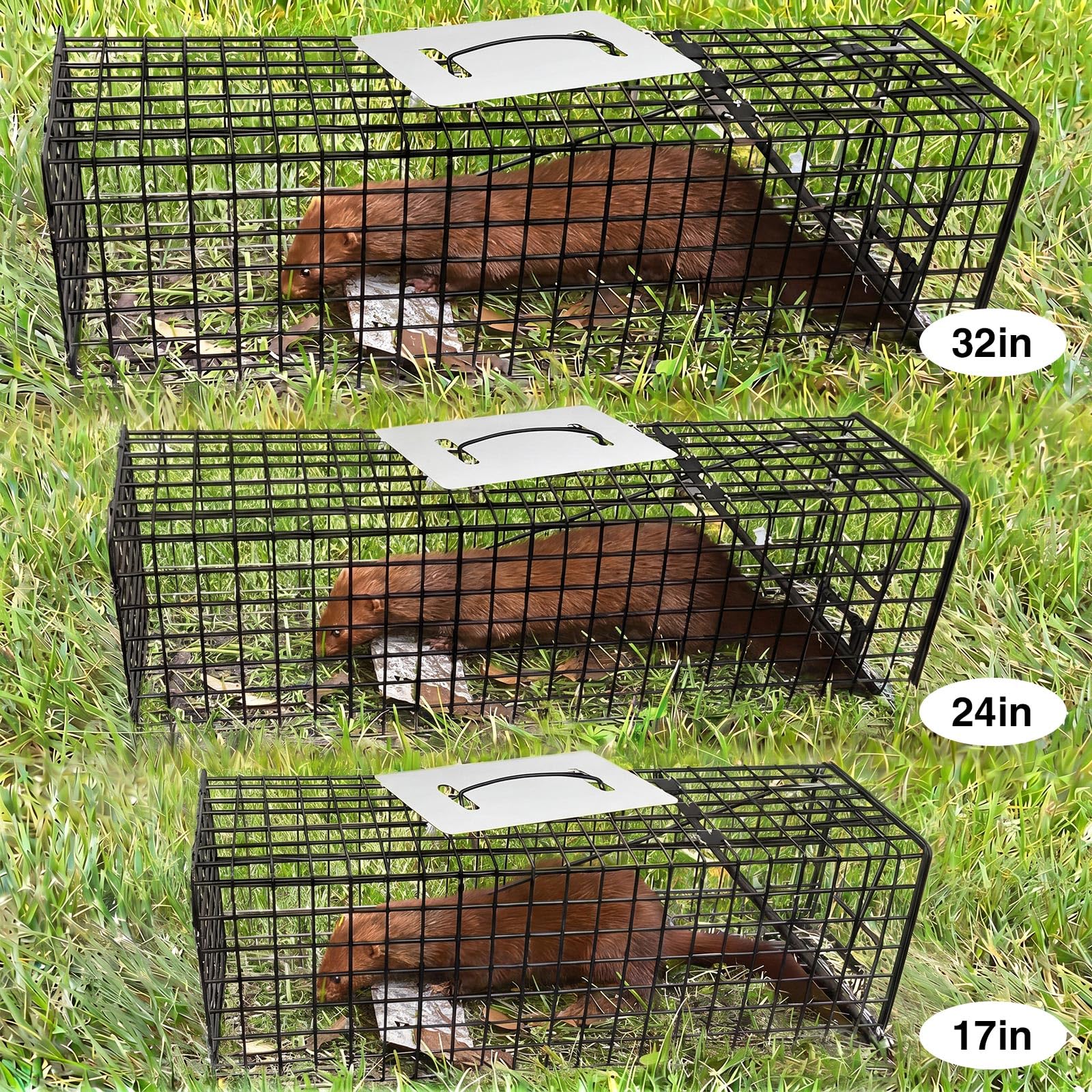 Qualirey folded trap flat for compact storage offering space-saving benefit
