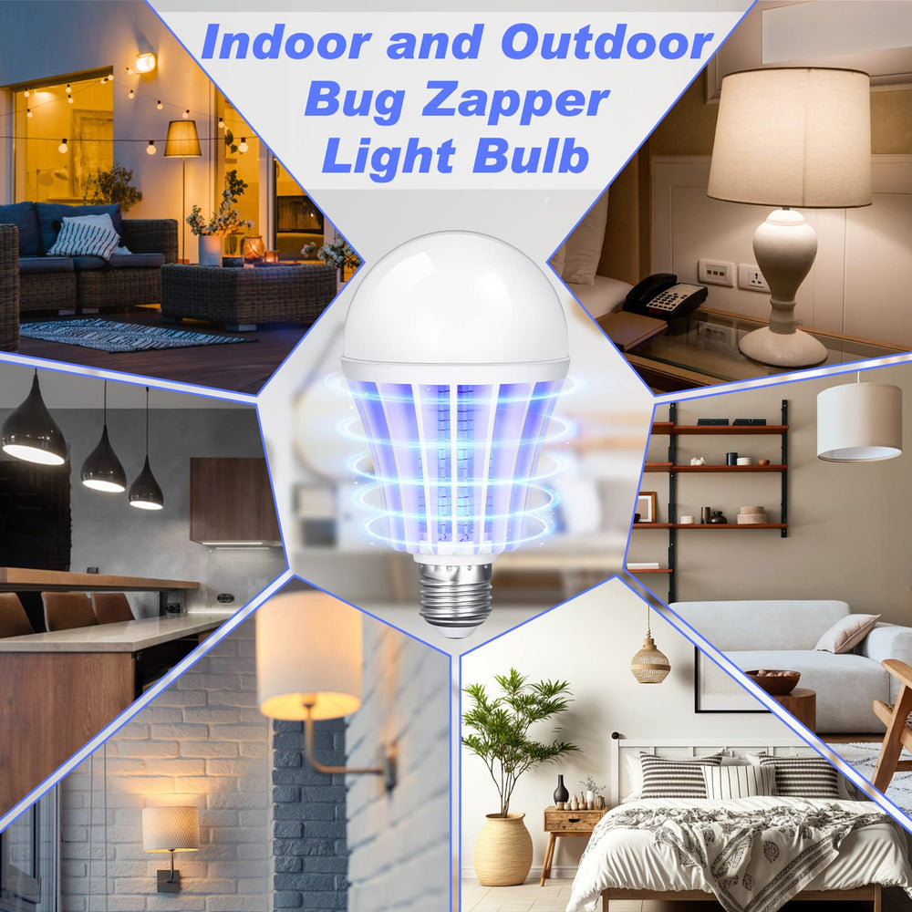 Qualirey six bulbs individually boxed flat layout showing bulk quantity for multiple rooms or sharing