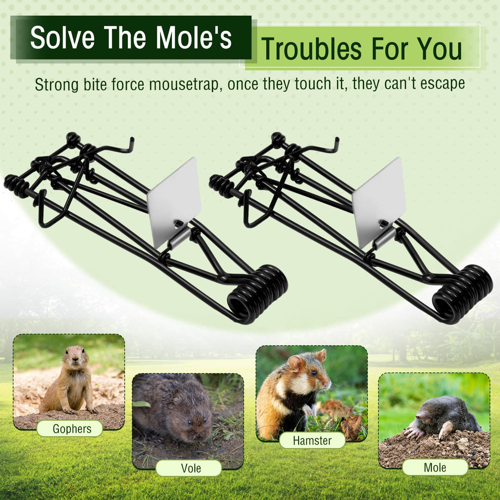 Qualirey sixteen traps laid out for scale, convenient bulk pest control