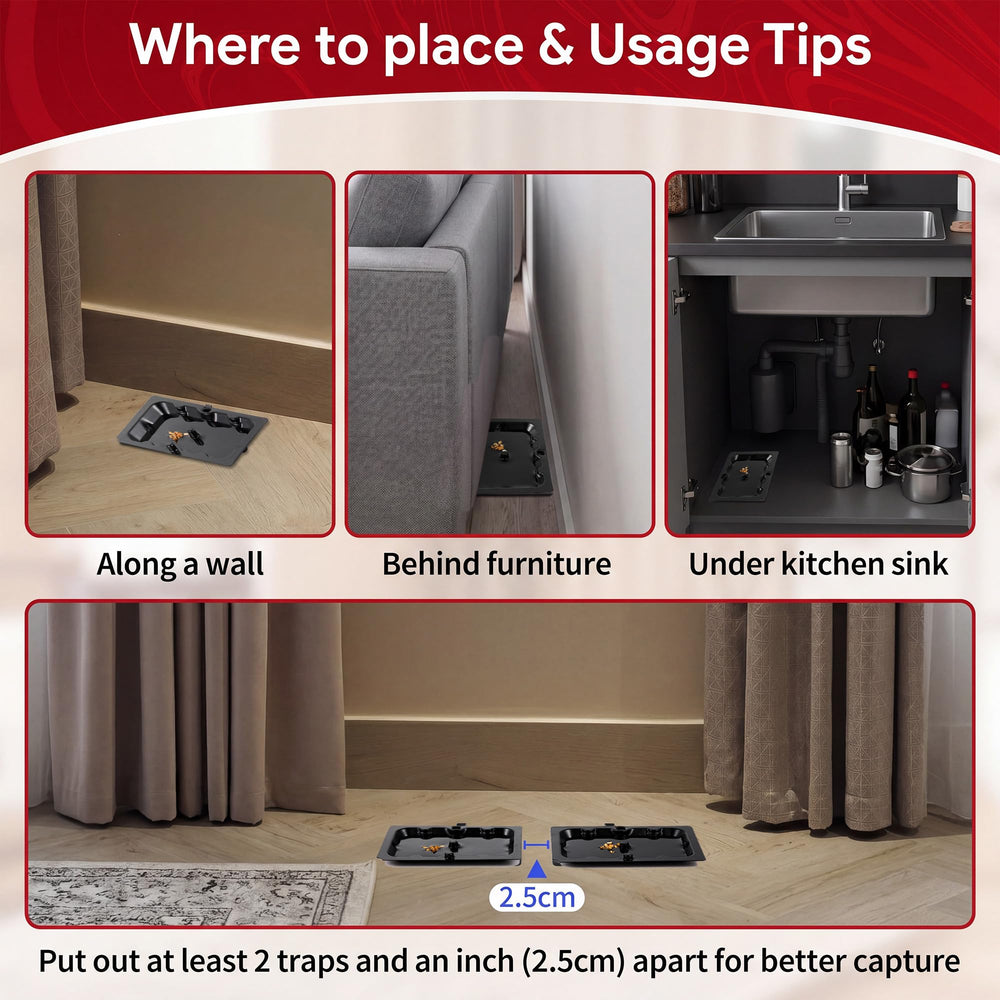 Qualirey trap next to ruler illustrating compact size and easy placement