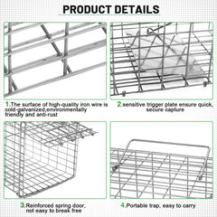 Qualirey close-up of carrying handle for safe transport and hands-off handling benefit