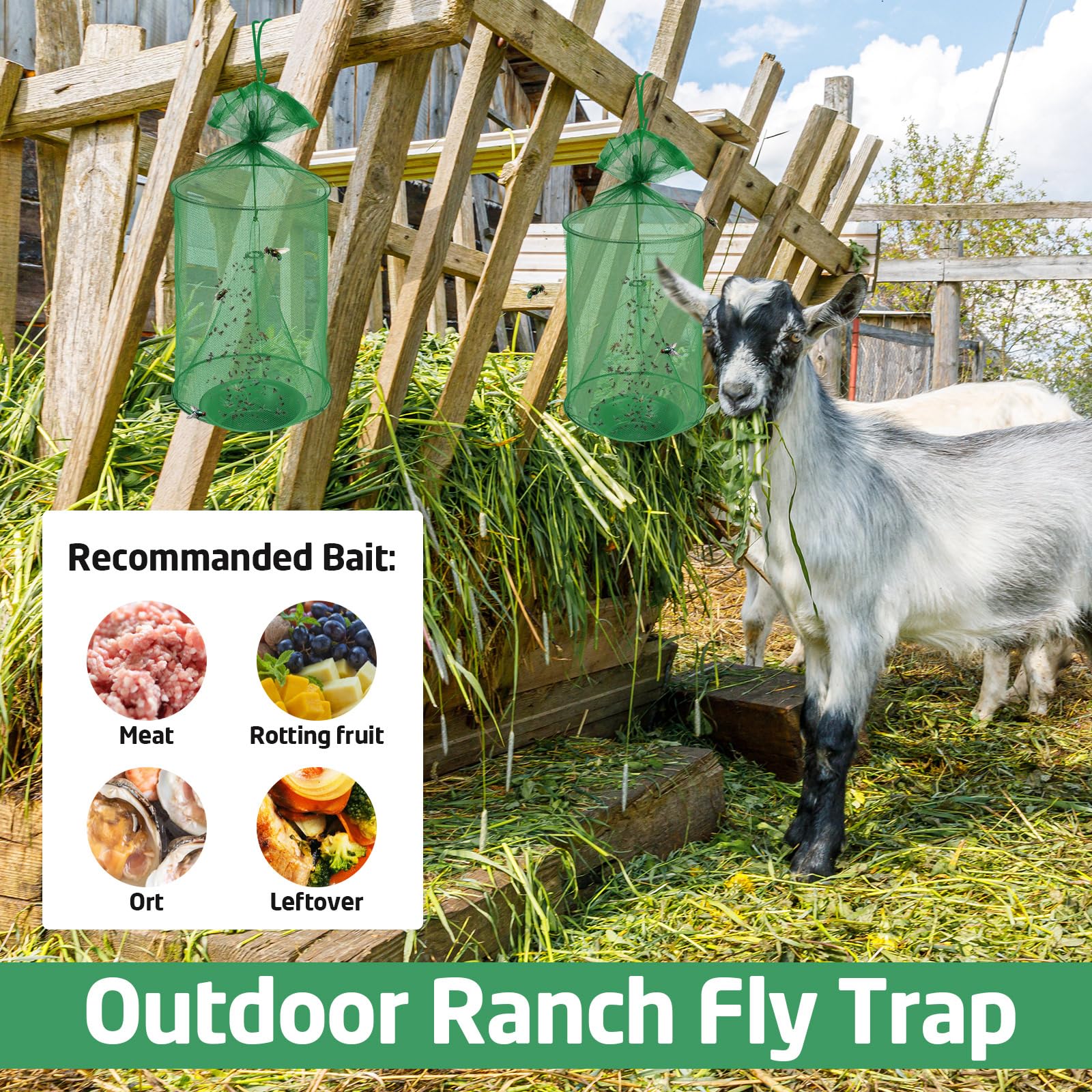 Qualirey trap hanging in stable near horse demonstrating safe, chemical-free fly control