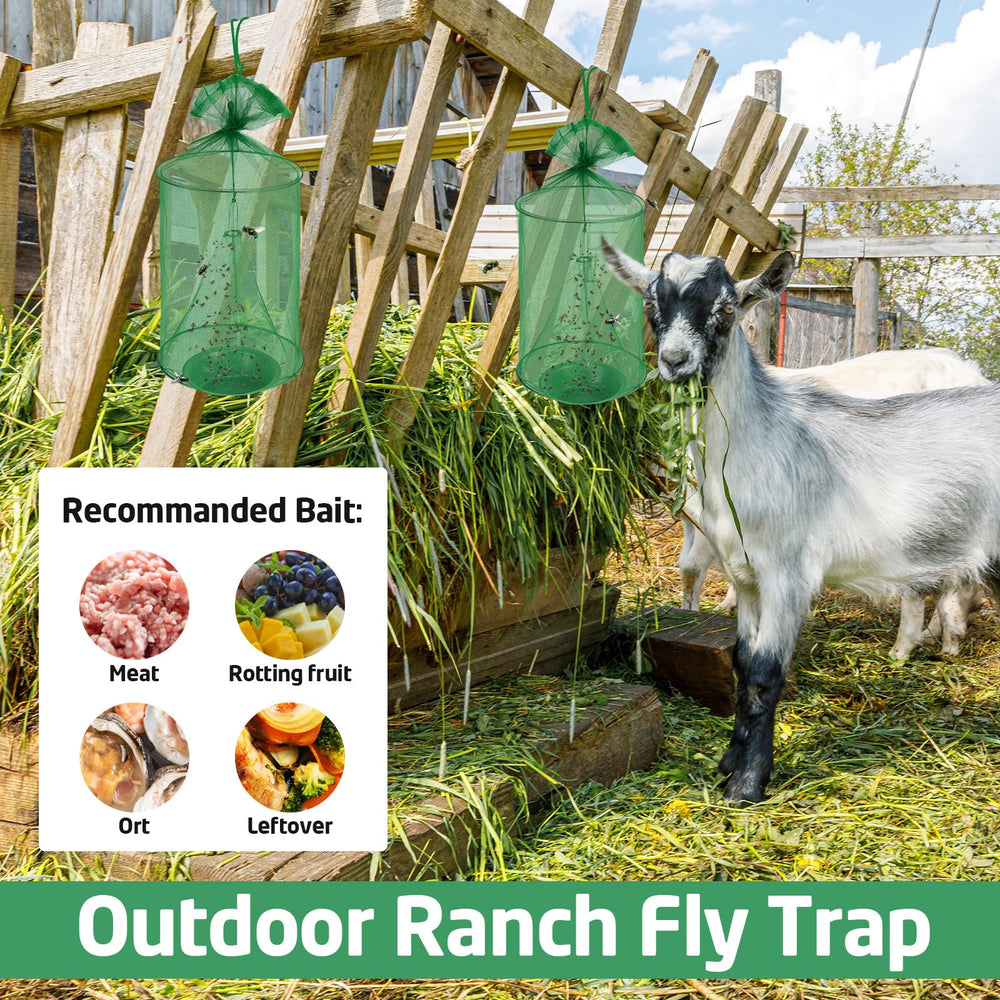 Qualirey trap hanging in stable near horse demonstrating safe, chemical-free fly control