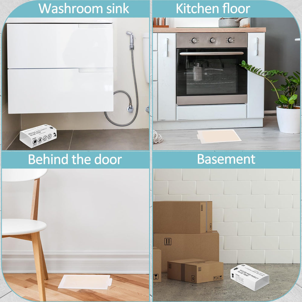 Qualirey trap placed behind kitchen appliance keeping glue away from pets