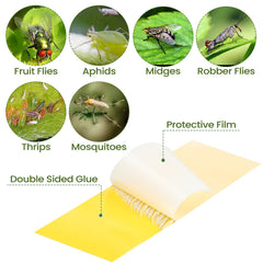 Qualirey trap inserted in potted plant soil reducing flying pest activity near roots