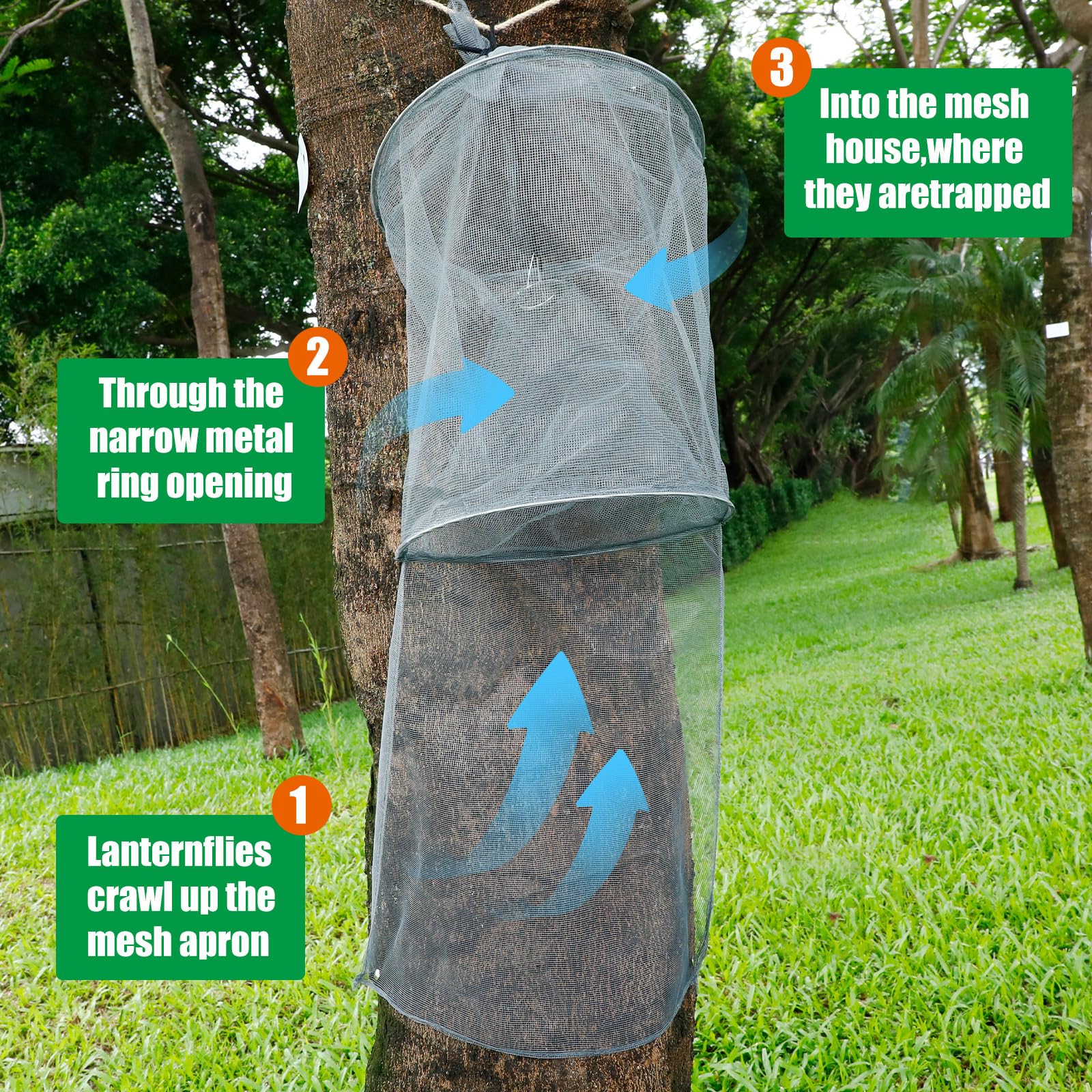 Qualirey trap partially filled with insects showing effective non-toxic capture benefit
