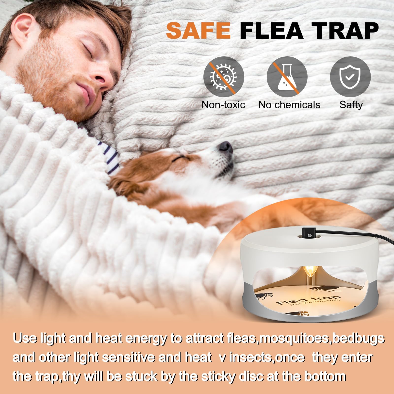 Qualirey trap in use on carpet next to pet bed demonstrating discreet indoor placement