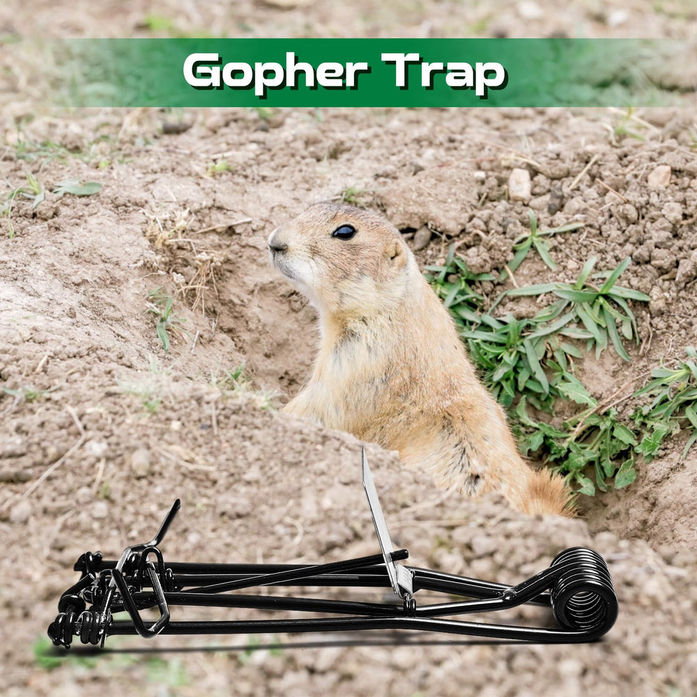 Qualirey twelve traps together showing bulk supply for repeated use