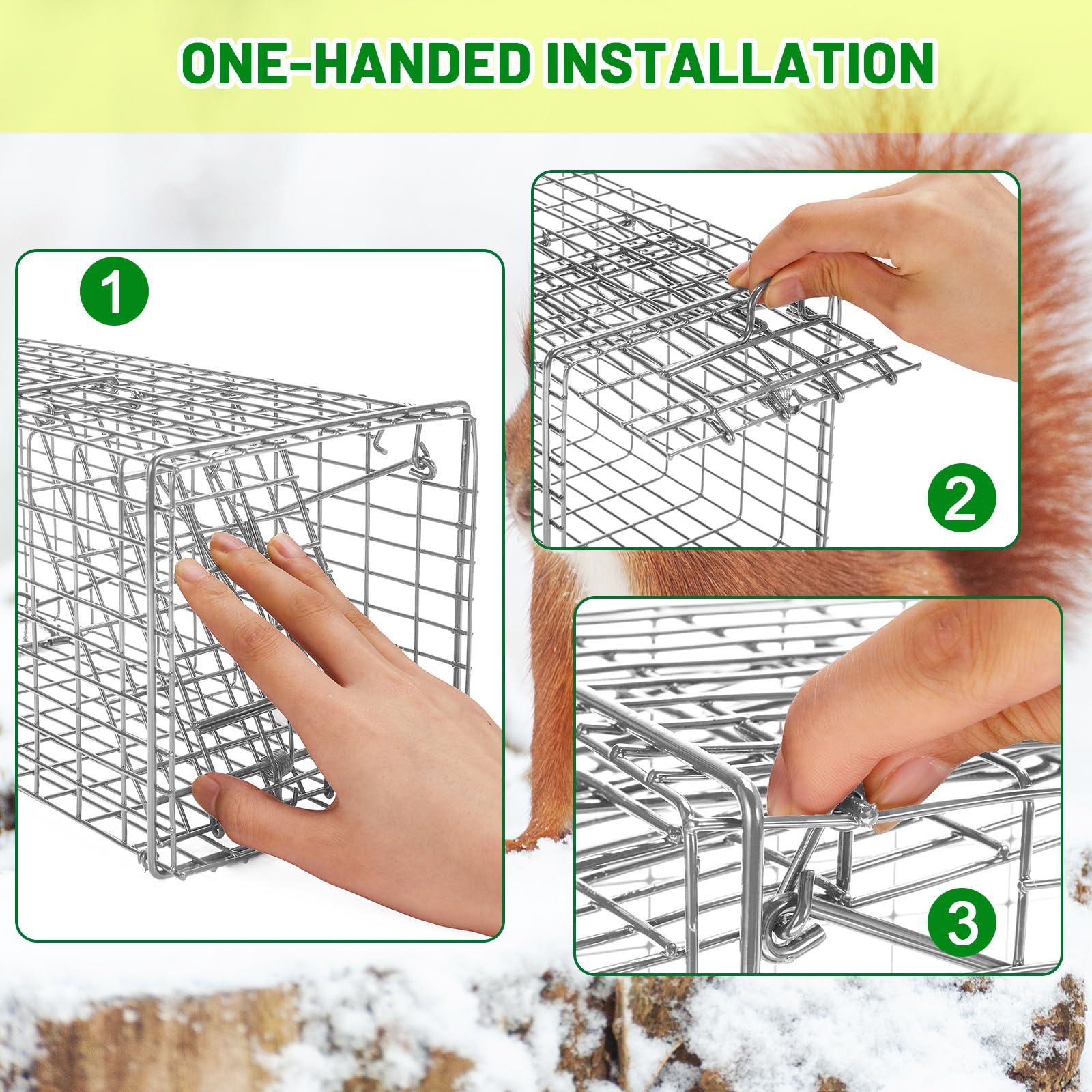 Qualirey trap next to ruler for scale to show compact size and portability benefit