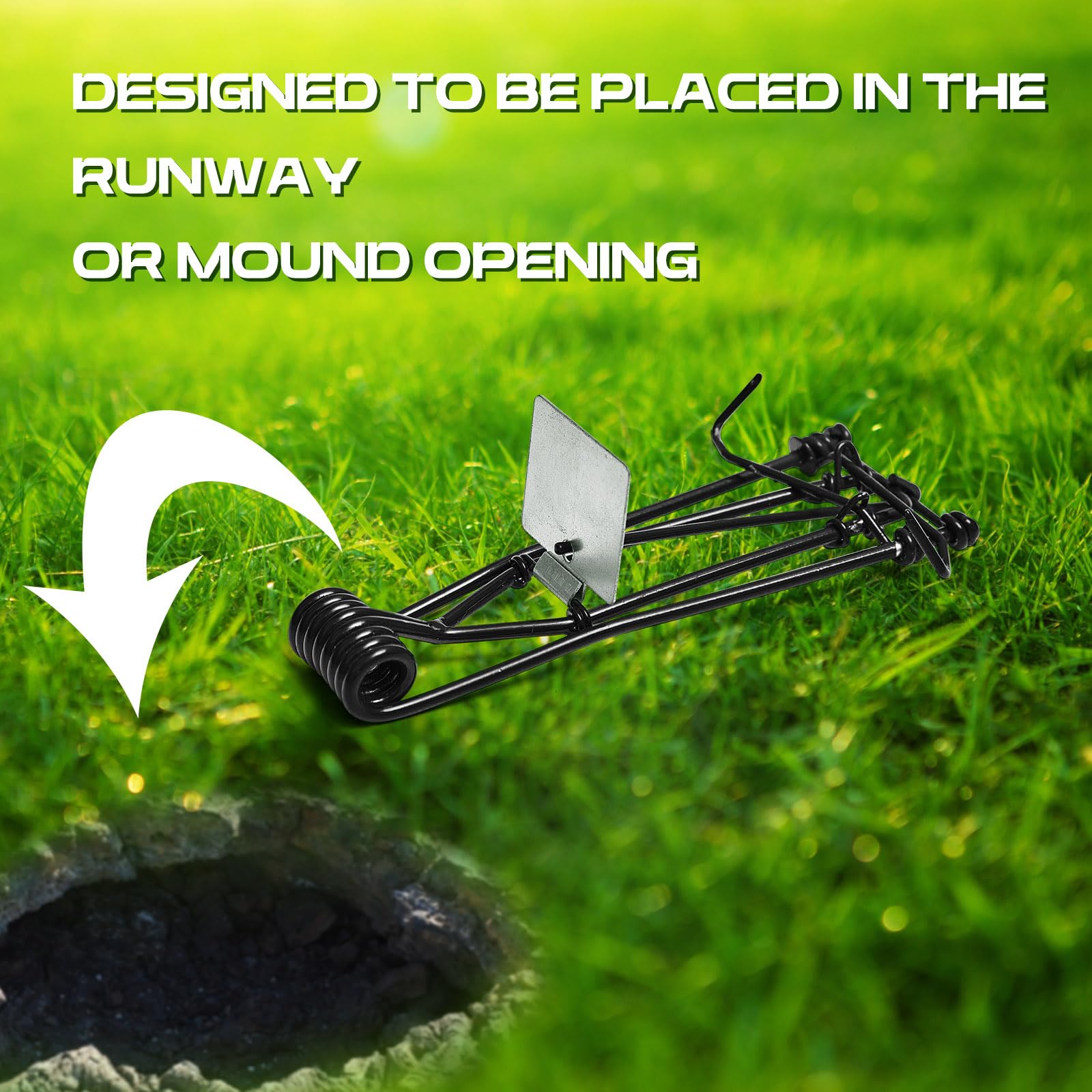 Qualirey trap next to ruler for scale showing compact, easy-to-place size