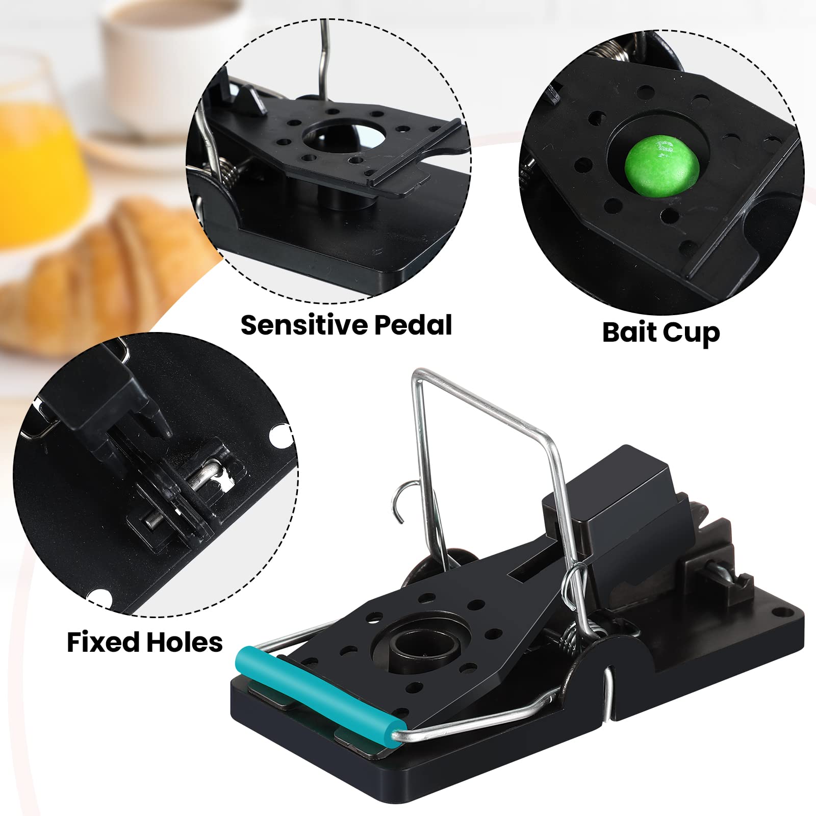 Qualirey trap next to coin showing compact portable size benefit