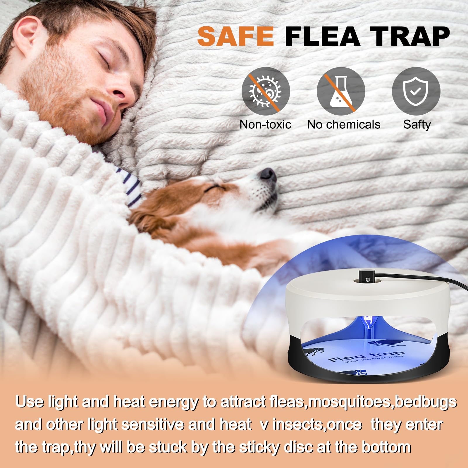 Qualirey trap positioned under bed highlighting hidden-area protection benefit
