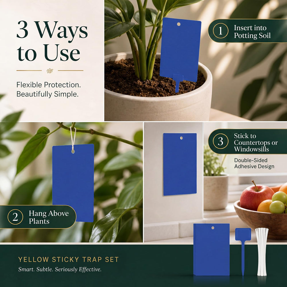 Qualirey traps hung on a potted plant reducing visible gnats near foliage