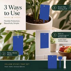 Qualirey traps hung on a potted plant reducing visible gnats near foliage
