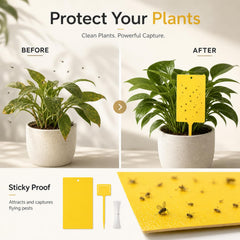 Qualirey trap hung on a plant stake with twist tie for easy placement
