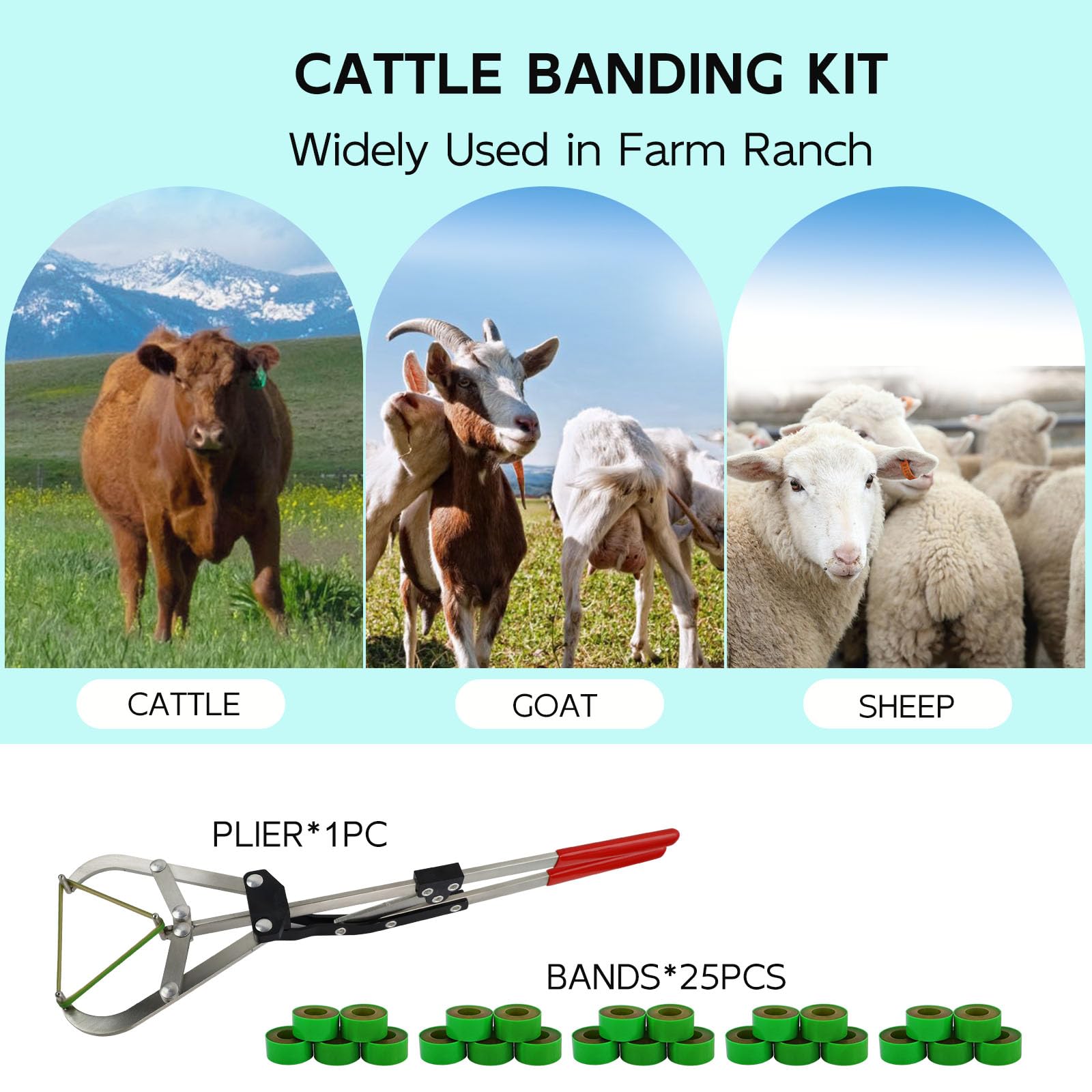 QUANSUPPLY bander held in hand for scale showing extra-large size for 250+ lb livestock