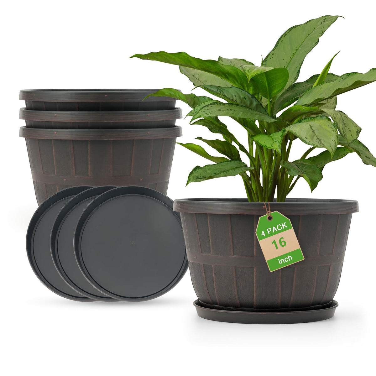 Quarut front view of 16-inch barrel planter showing elegant shape and stability