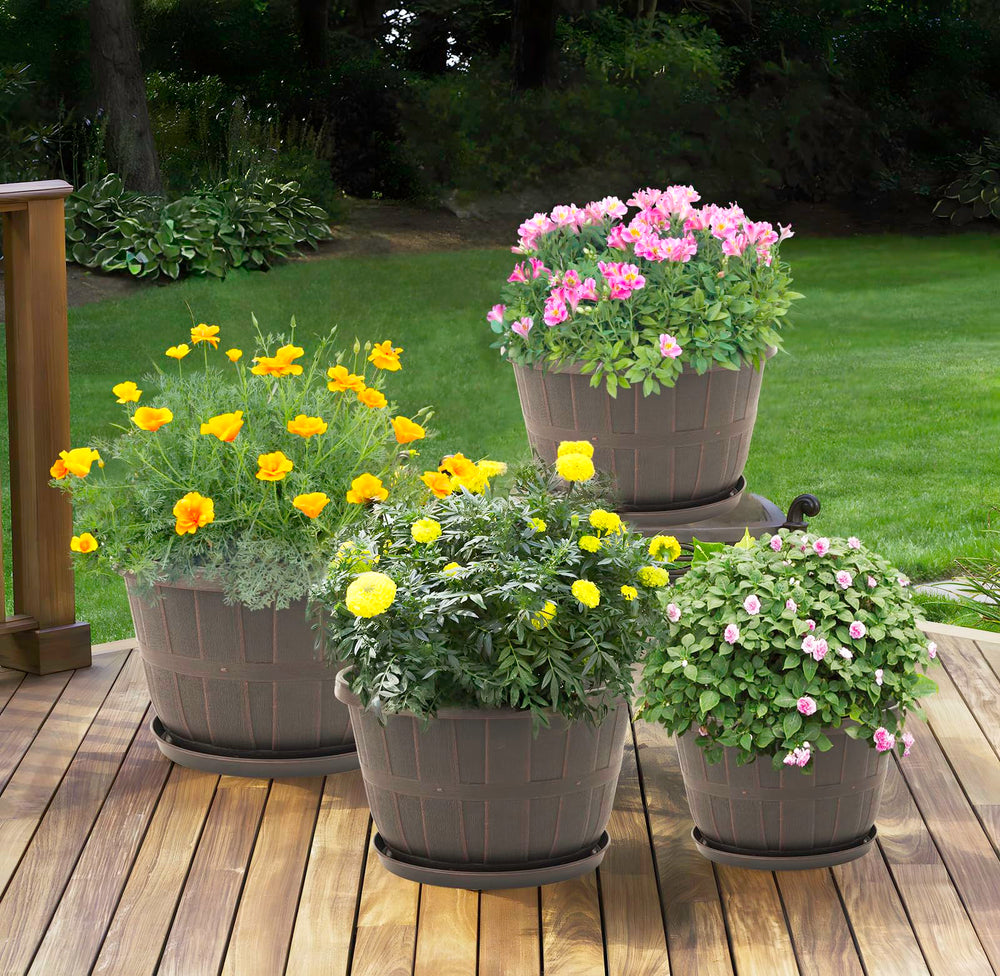 Quarut set of four boxed planters ready to display for indoor or outdoor use