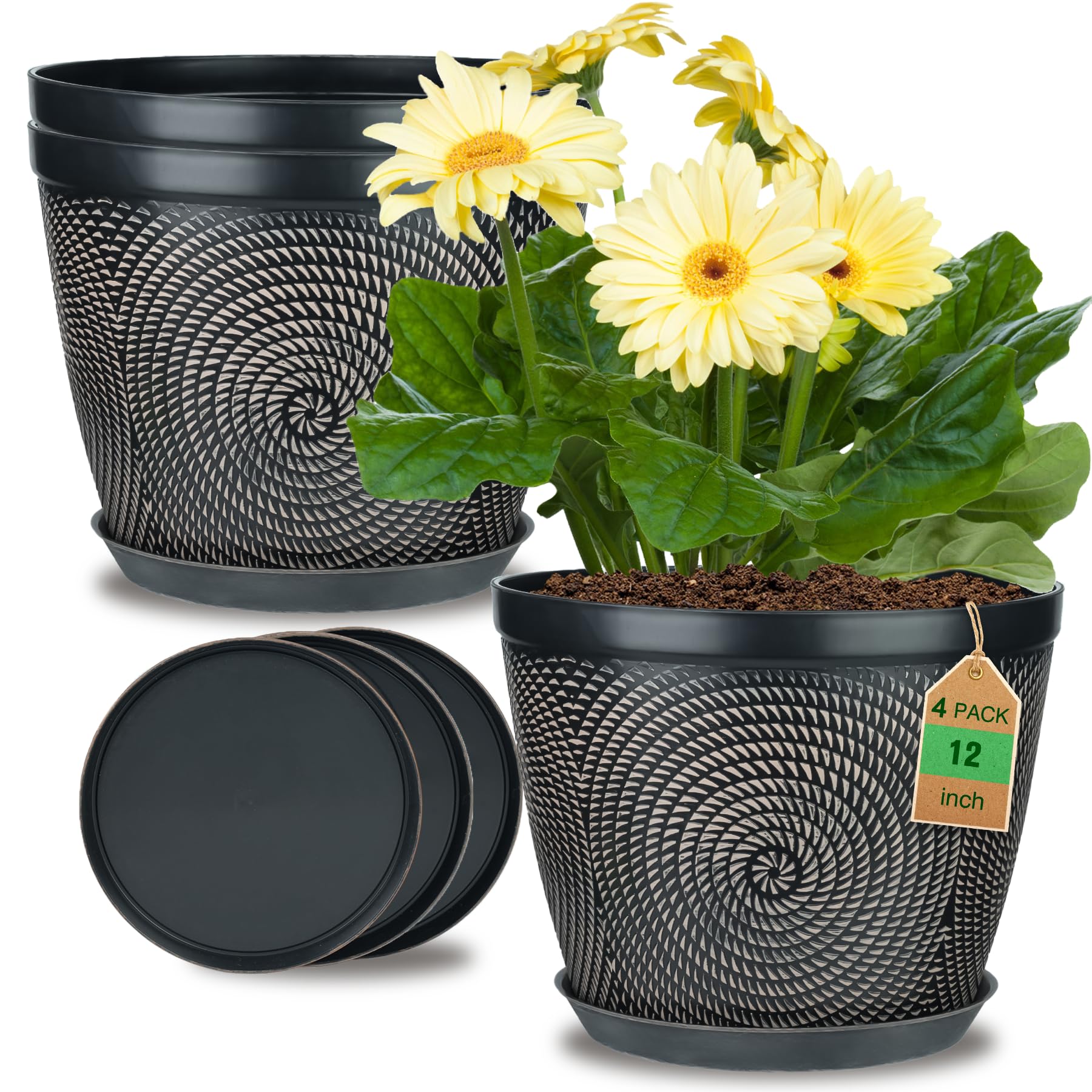 Quarut front view of 12-inch four-pack pots showing modern design benefit