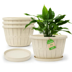 Quarut front view of four 14-inch pots showing coordinated aesthetic and curb appeal