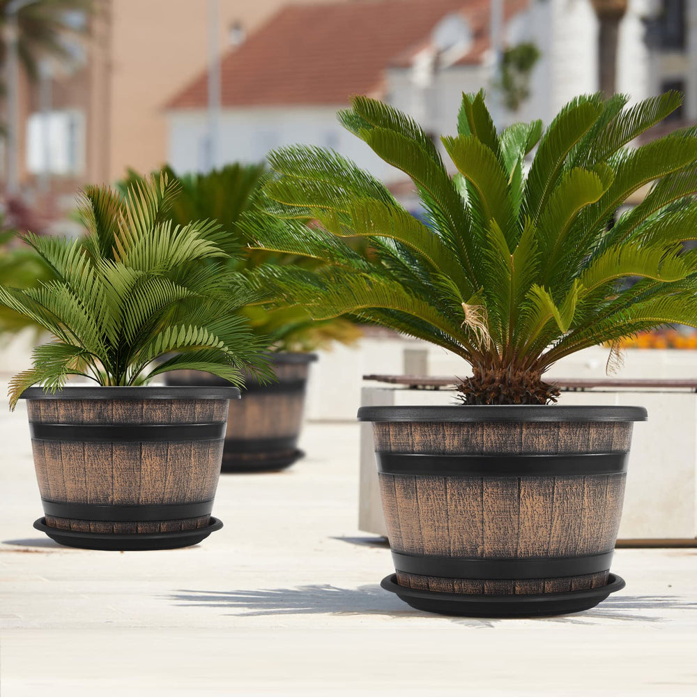 Quarut top view with soil and seedling illustrating large 5-gallon capacity for growth