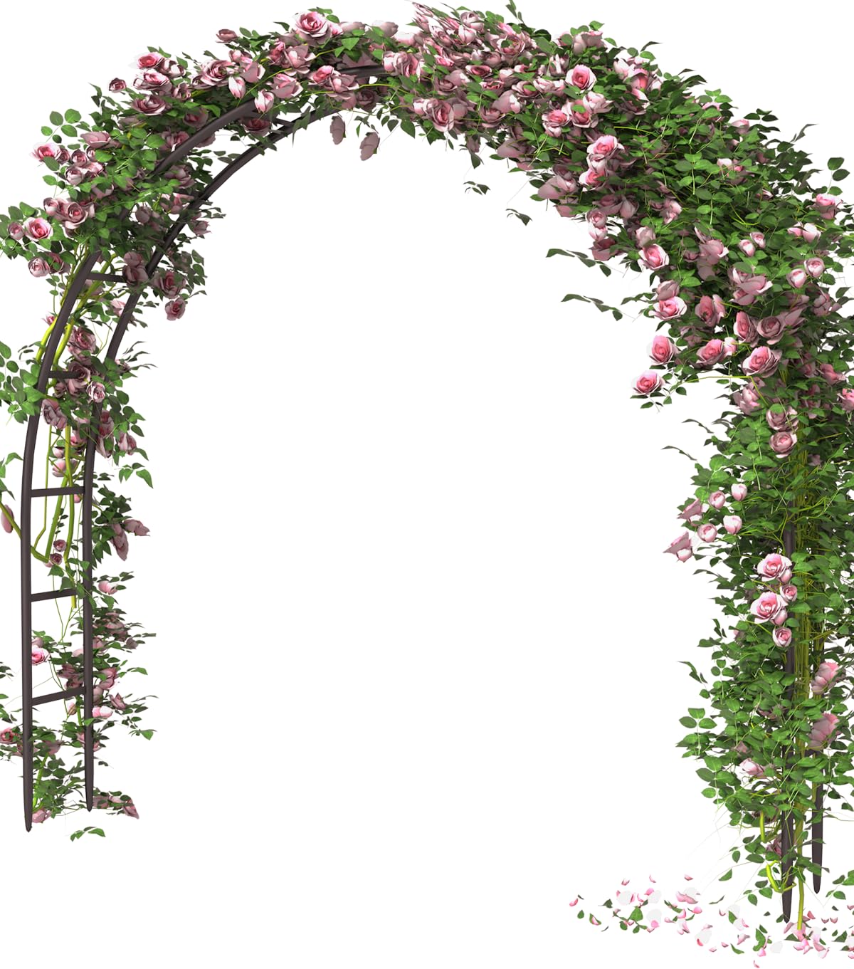 Queension arch front view showing full black frame and wide opening benefit