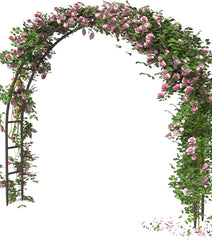 Queension arch front view showing full black frame and wide opening benefit