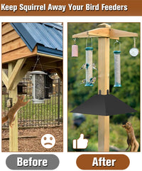 Queension baffle with bird feeder above showing effective squirrel blocking