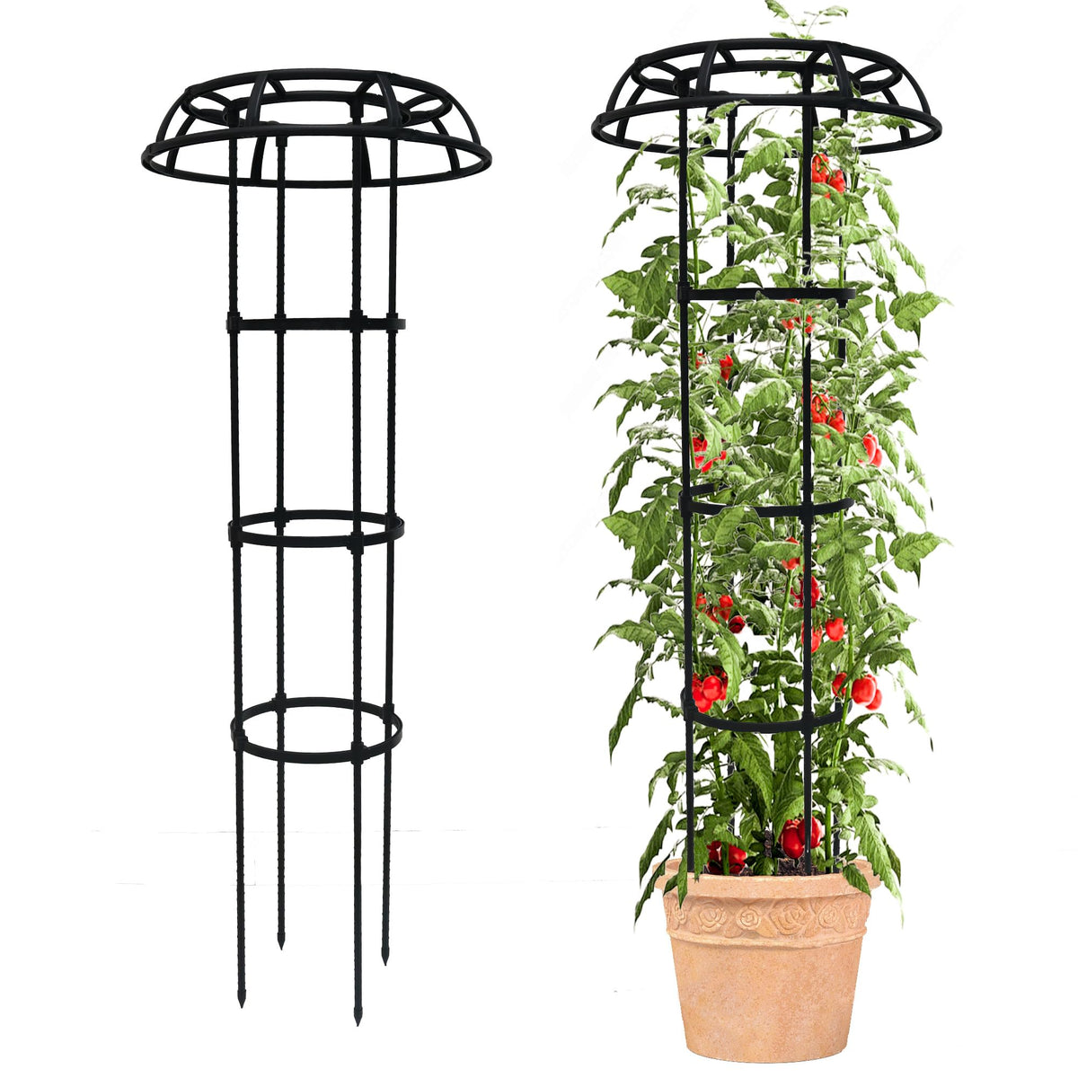 Quibbay trellis front view showing compact vertical support and easy placement