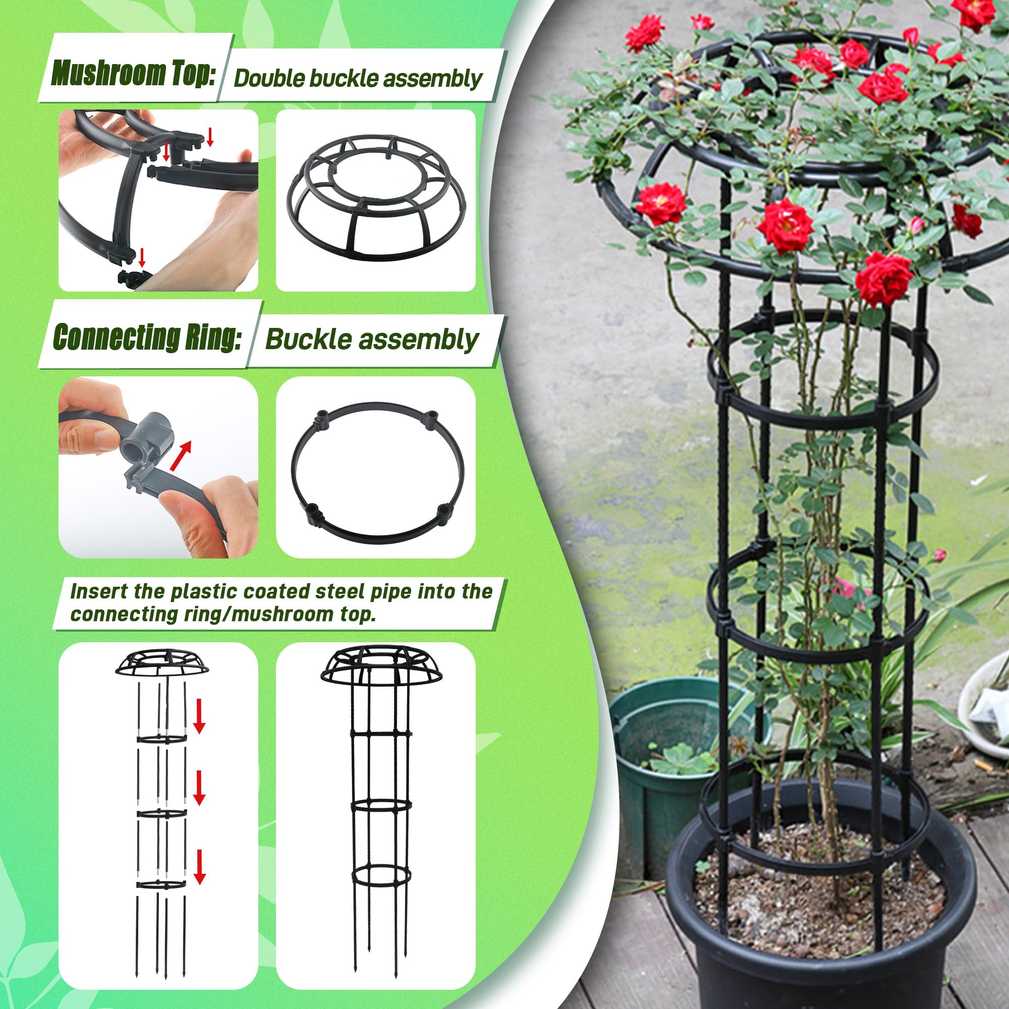 Quibbay trellis in pot with climbing rose demonstrating tidy upright training