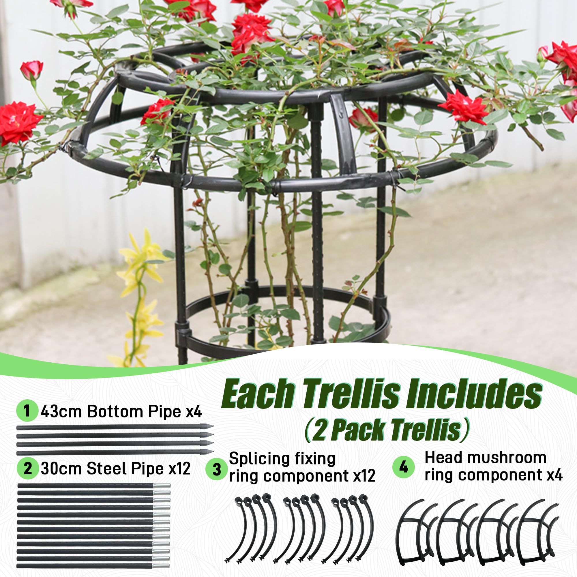 Quibbay textured tube bumps close-up helping vines grip and climb securely