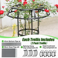 Quibbay textured tube bumps close-up helping vines grip and climb securely