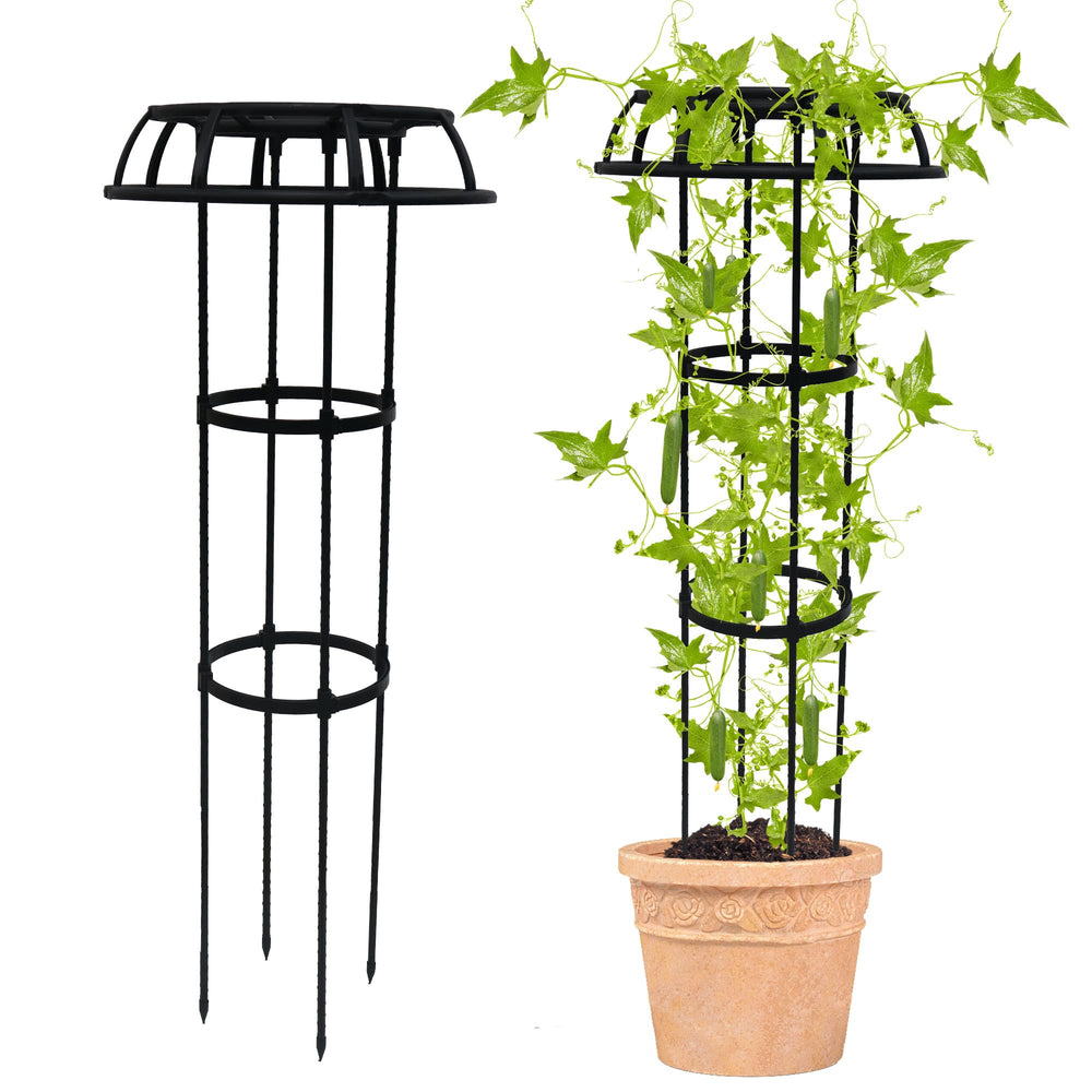 Quibbay trellis front view showing full 41.3-inch support and mushroom top, adds garden structure