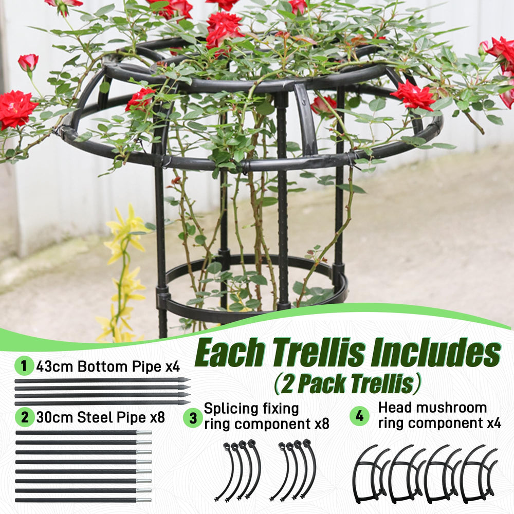 Quibbay trellis in container garden illustrating compact support for patio plants and vines