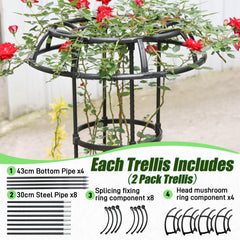 Quibbay trellis in container garden illustrating compact support for patio plants and vines