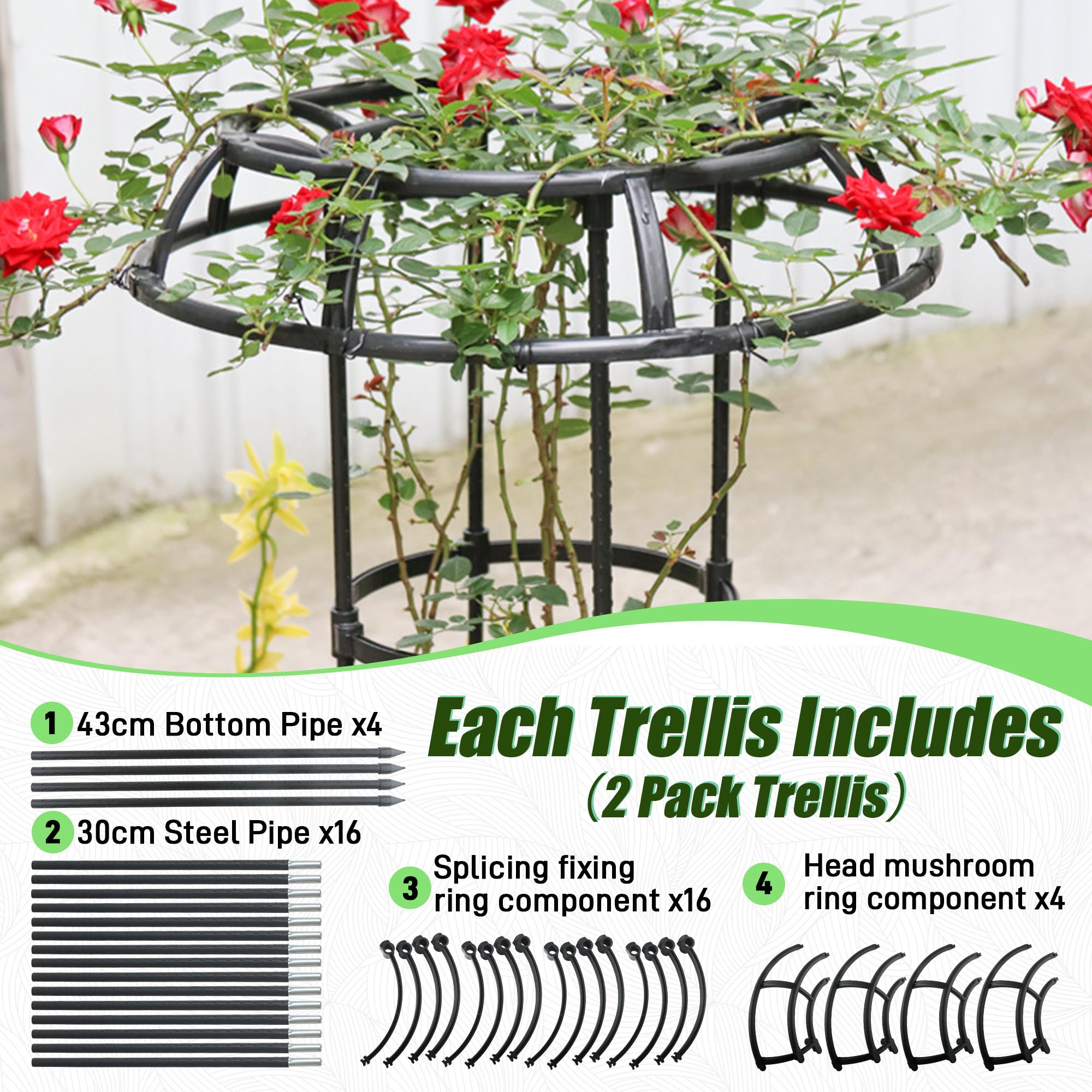 Quibbay trellis in use with climbing rose, provides upright support and display