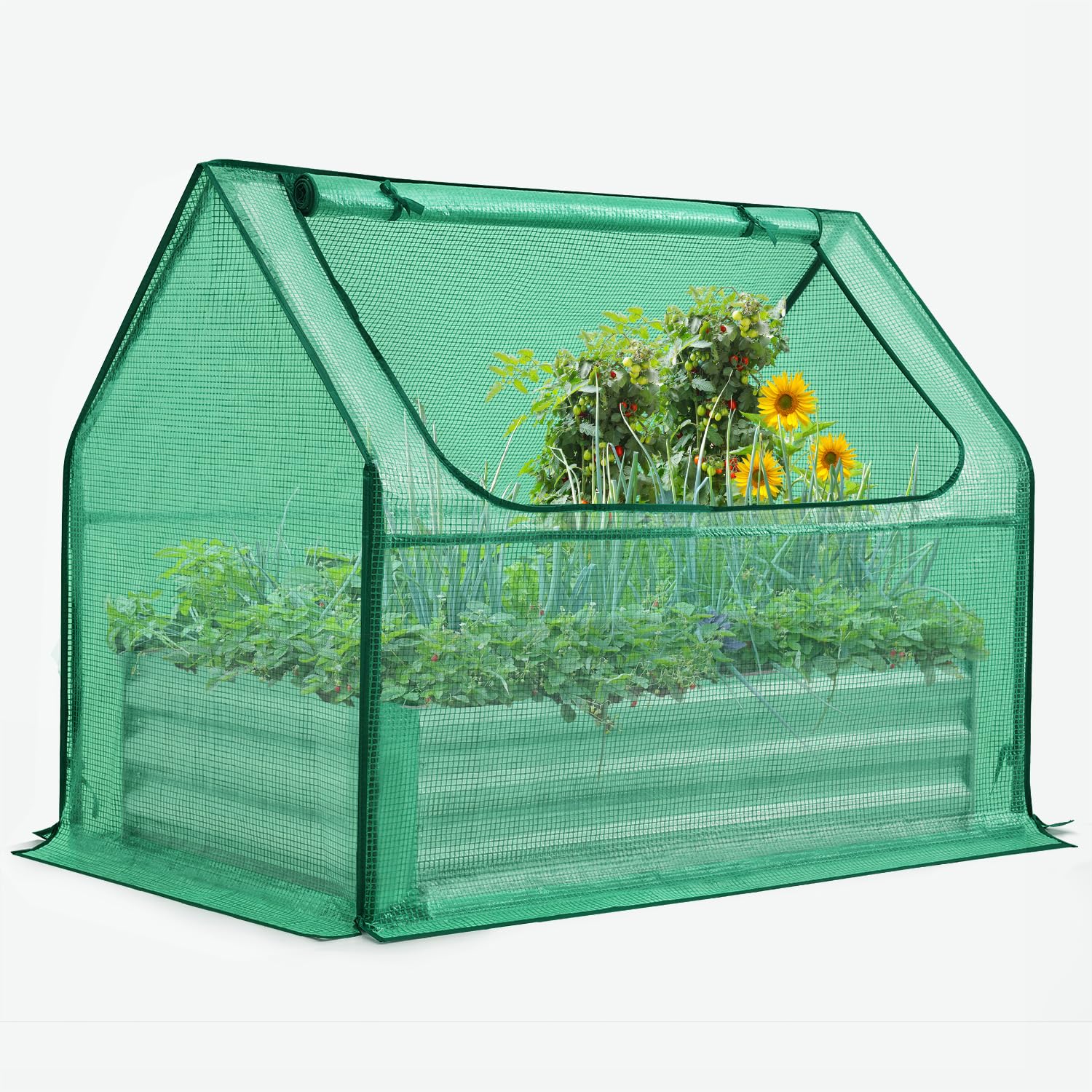 Quictent front view of raised garden bed and greenhouse cover showing protection